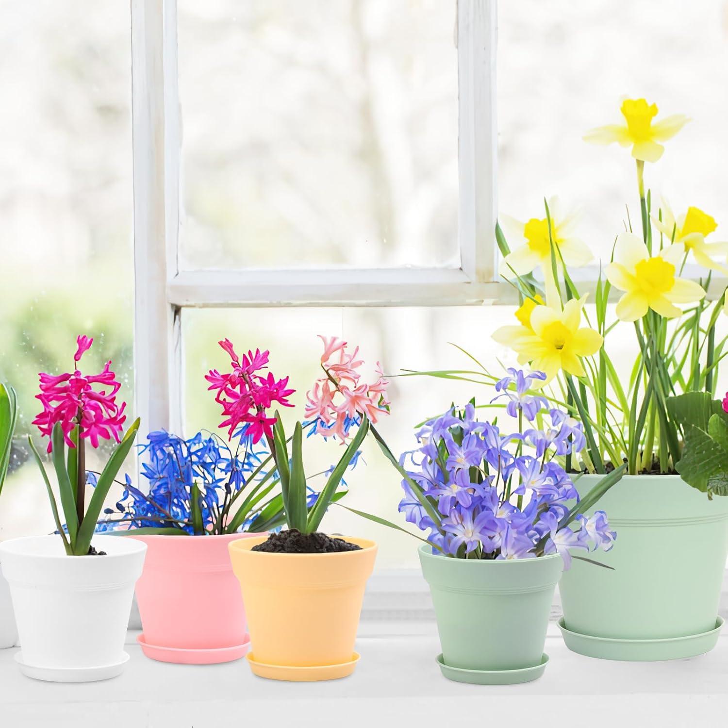 GARDIFE Paquete de 20 macetas redondas de 10 cm para interior