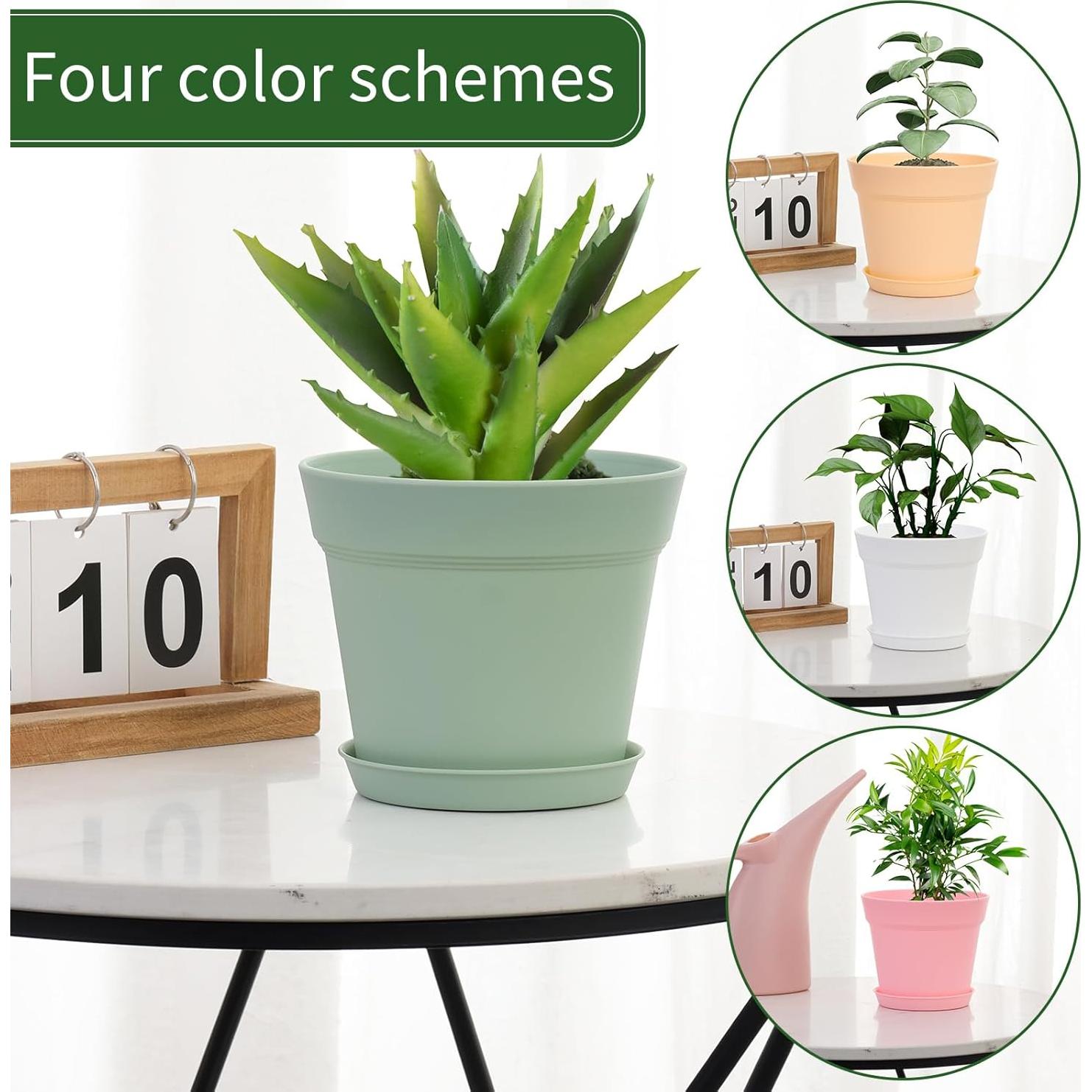 GARDIFE Paquete de 20 macetas redondas de 10 cm para interior