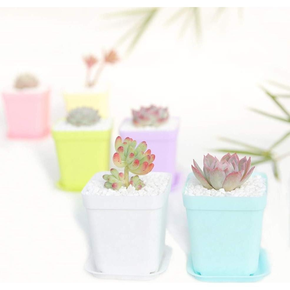 Macetas de Plástico Anyumocz 24 Piezas 7.69cm para Jardín