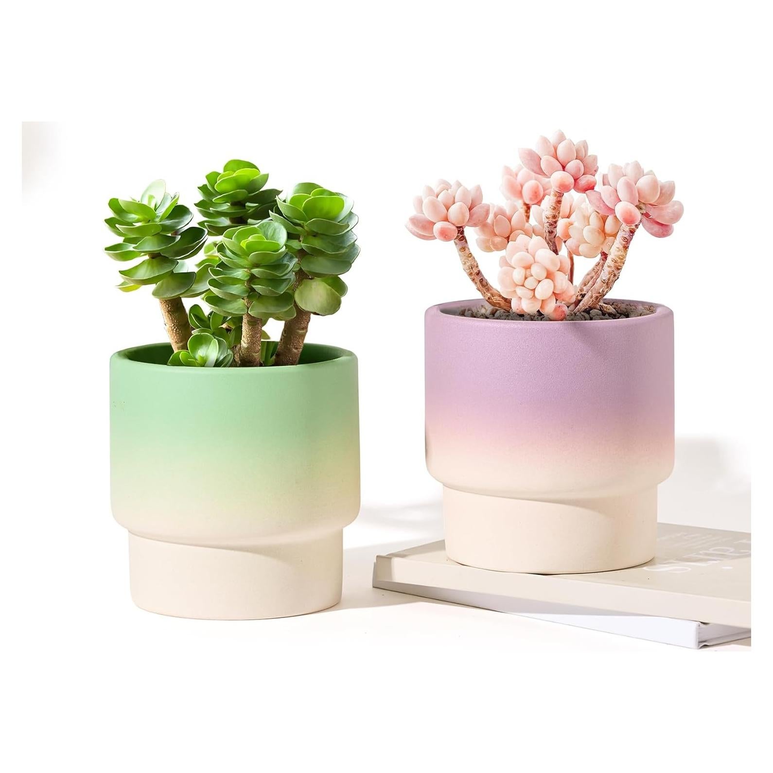 Macetas Pequeñas de Cerámica STHIE 10 cm con Drenaje - 2 Pcs