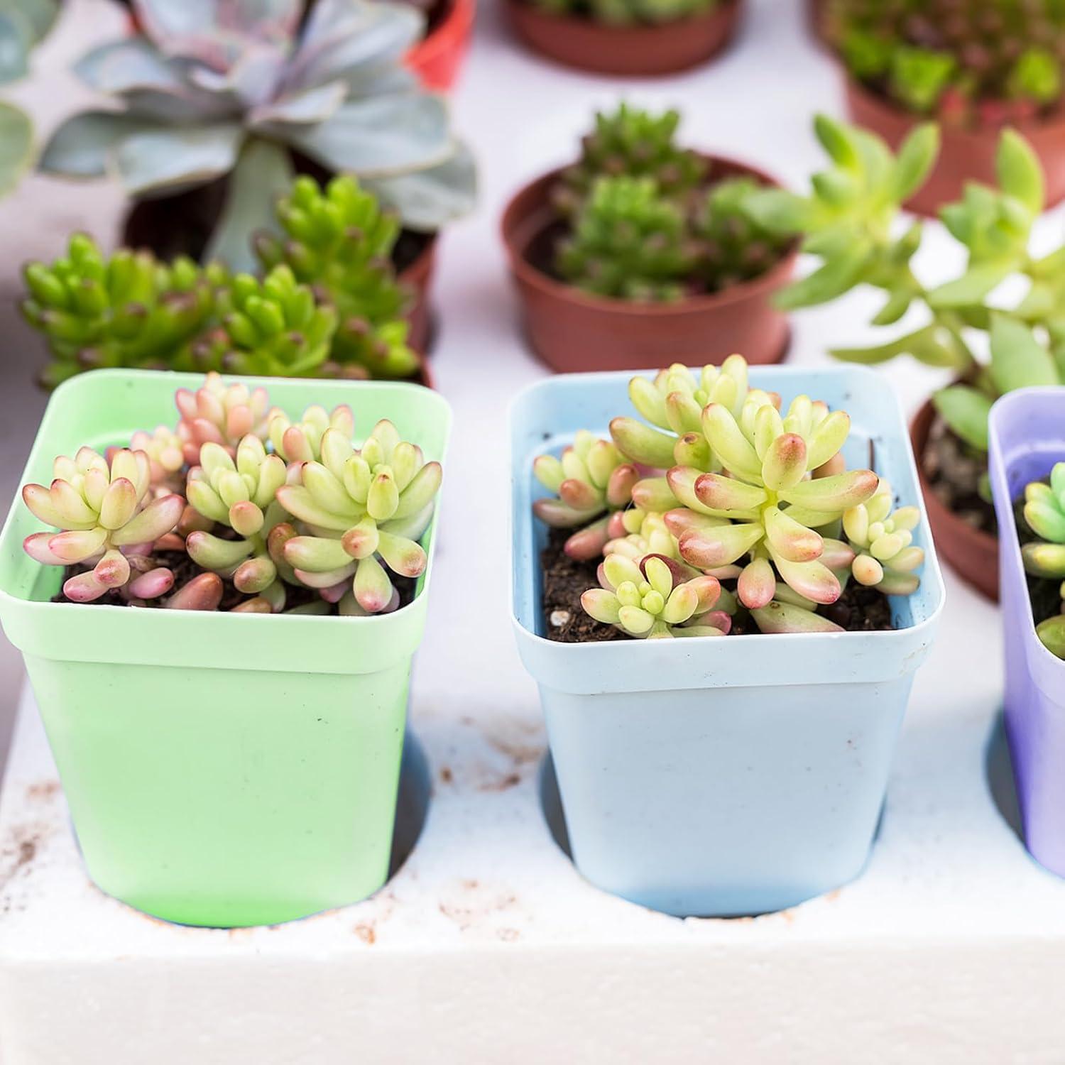 Paquete de 24 Macetas Cuadradas de Plástico OJYUDD Multicolor