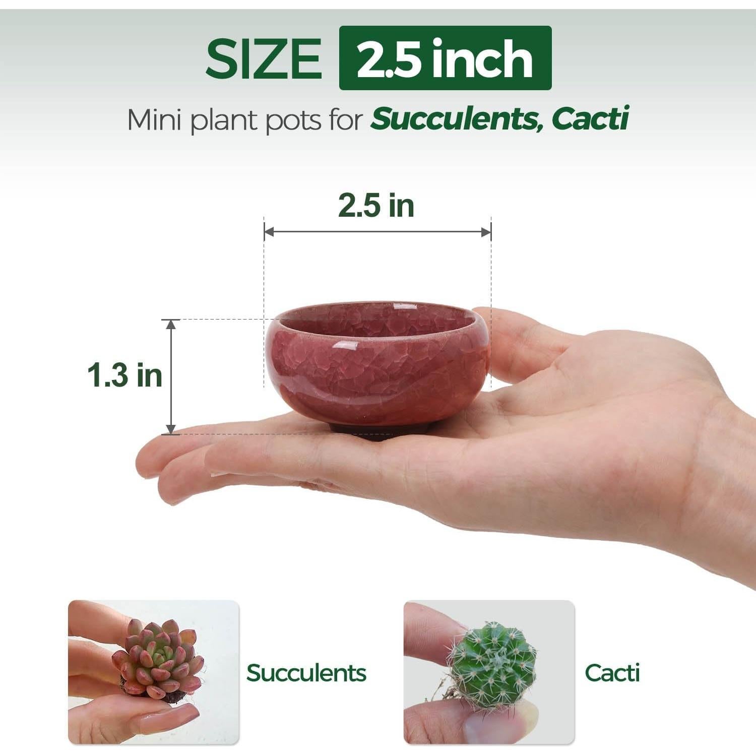 Juego de 12 Macetas de Cerámica Pequeñas T4U 6.35cm Drenaje