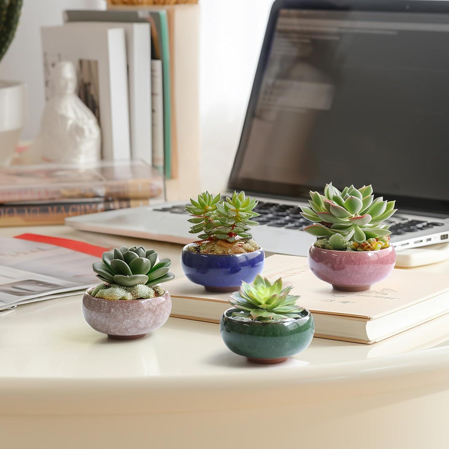 Juego de 12 Macetas de Cerámica Pequeñas T4U 6.35cm Drenaje