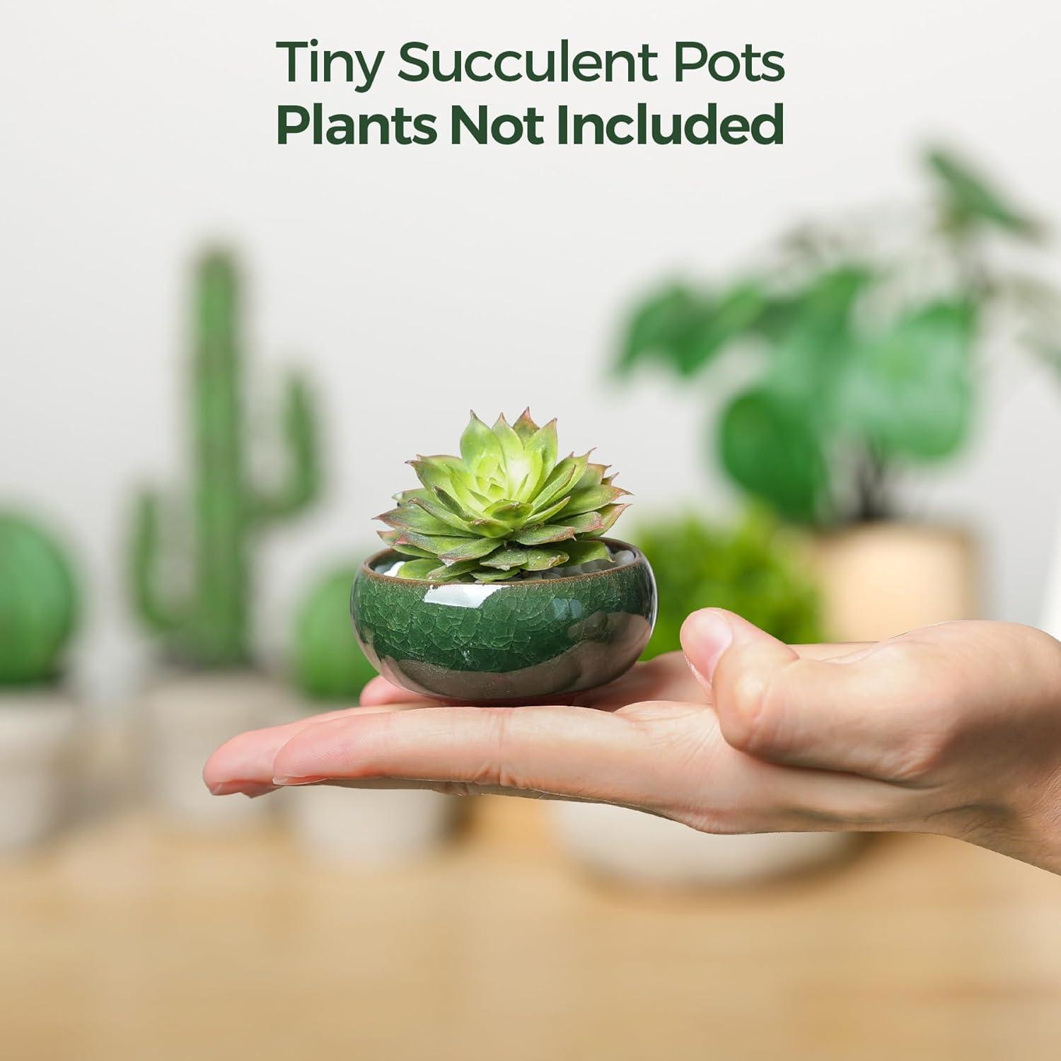 Juego de 12 Macetas de Cerámica Pequeñas T4U 6.35cm Drenaje