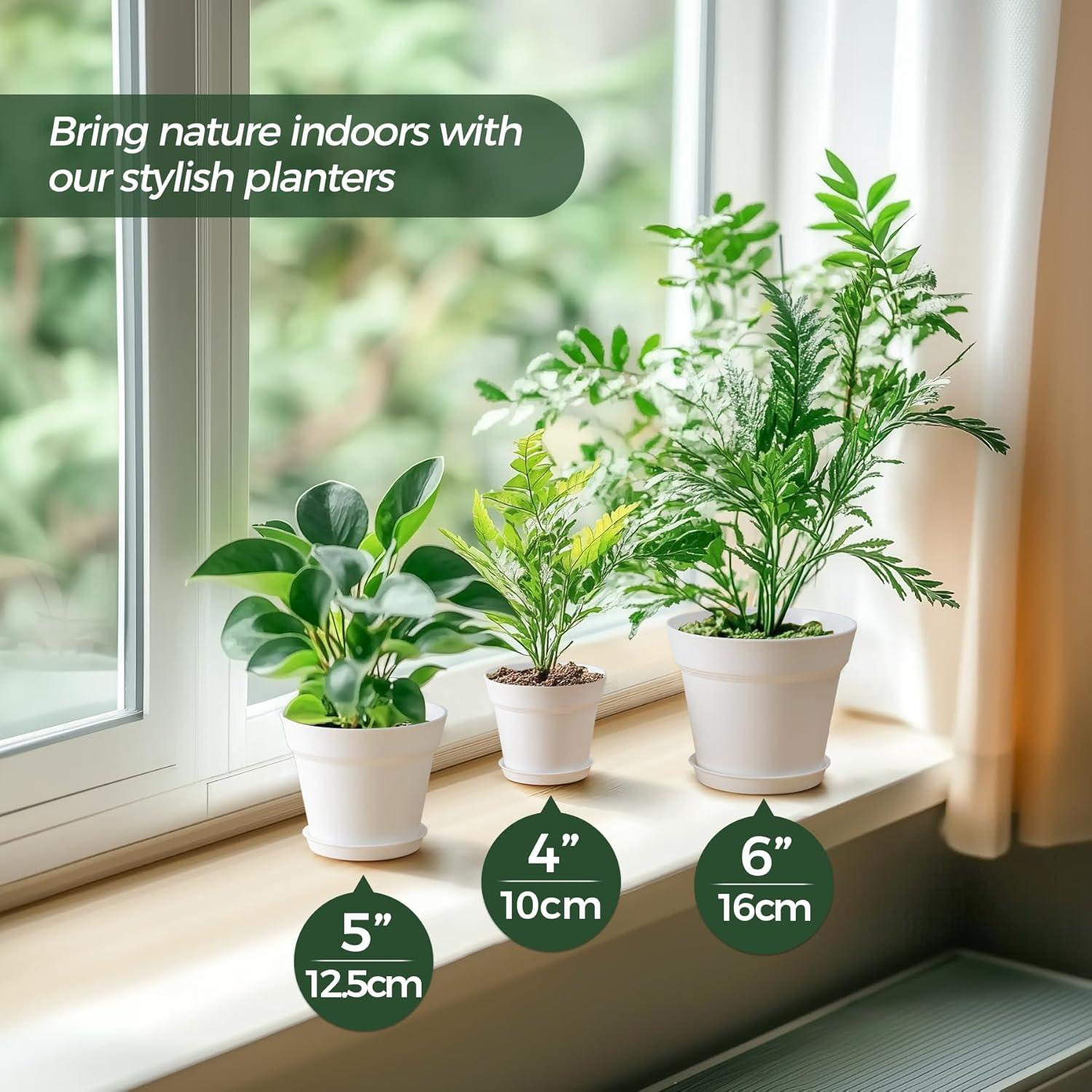 Macetas de 10 cm T4U Paquete de 18 con Plato y Drenaje