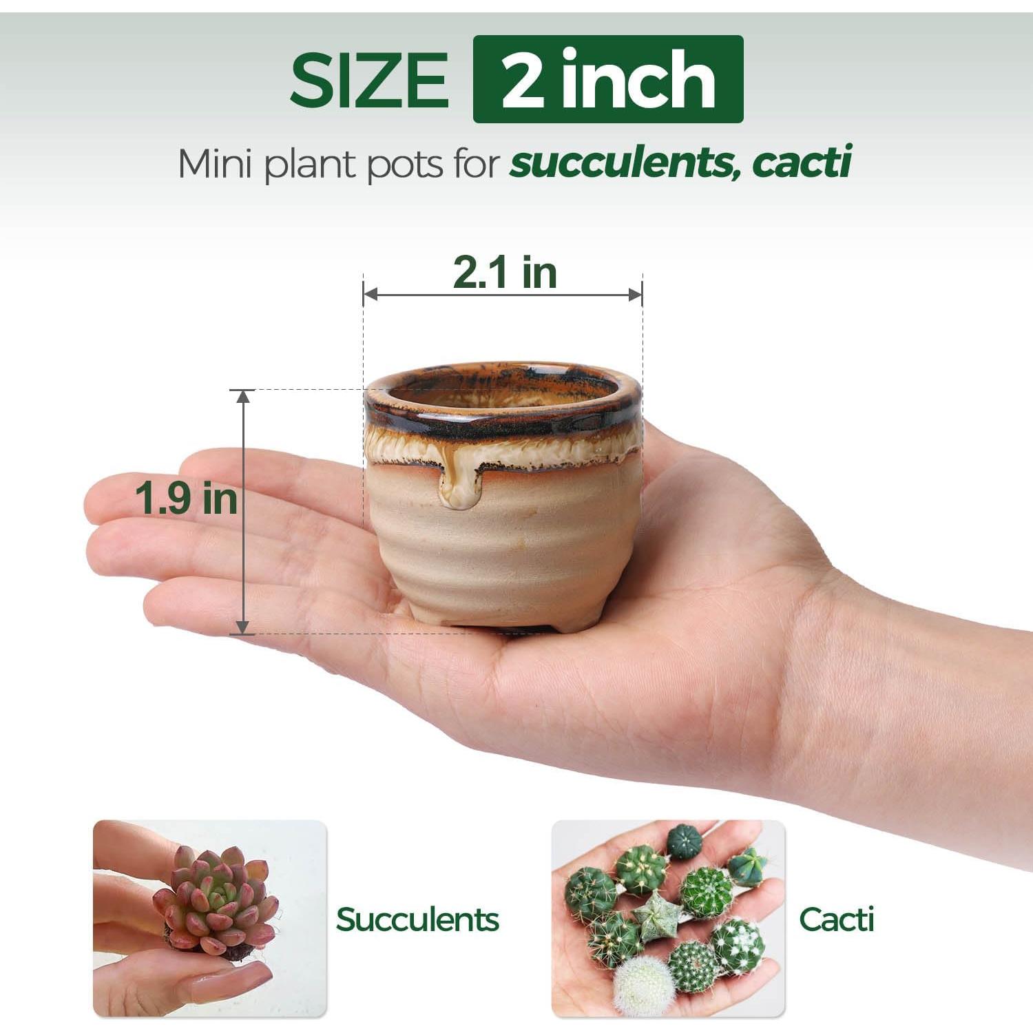 Set de 12 Macetas Cerámicas para Suculentas T4U con Drenaje