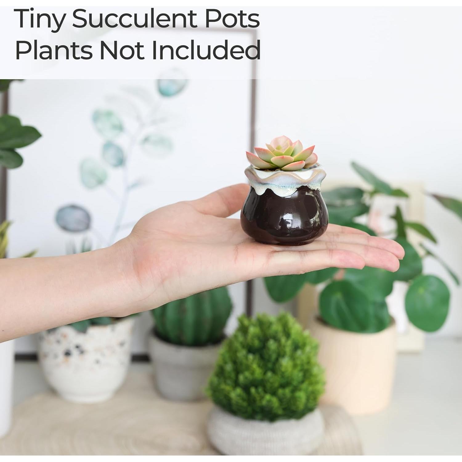 Set de 12 Macetas Cerámicas para Suculentas T4U con Drenaje