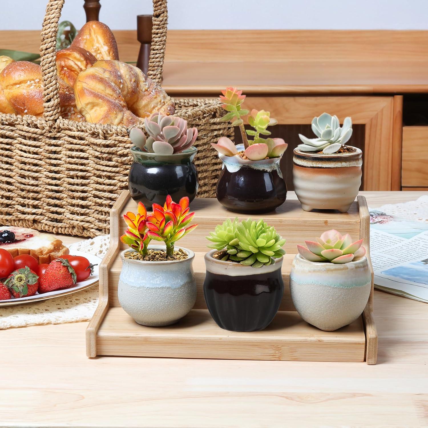 Set de 12 Macetas Cerámicas para Suculentas T4U con Drenaje