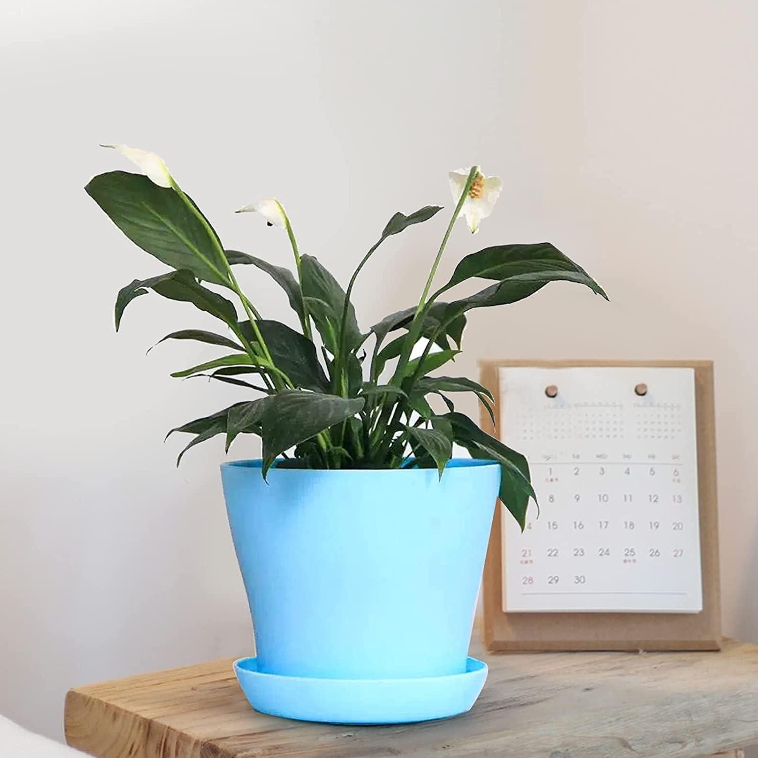 Tosnail Paquete de 24 Macetas de Plástico 10cm con Platillos