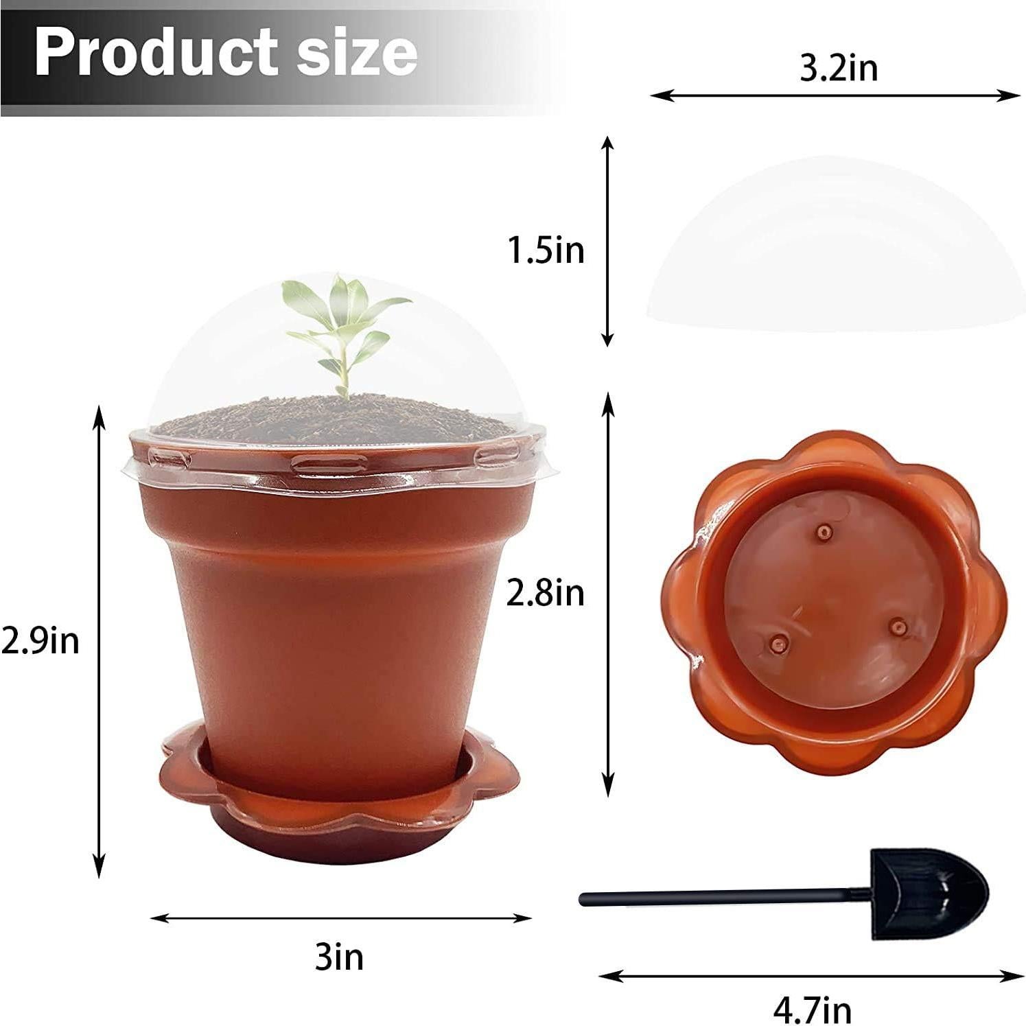 30 Macetas de Vivero PURPLE STAR 1N con Domo de Humedad