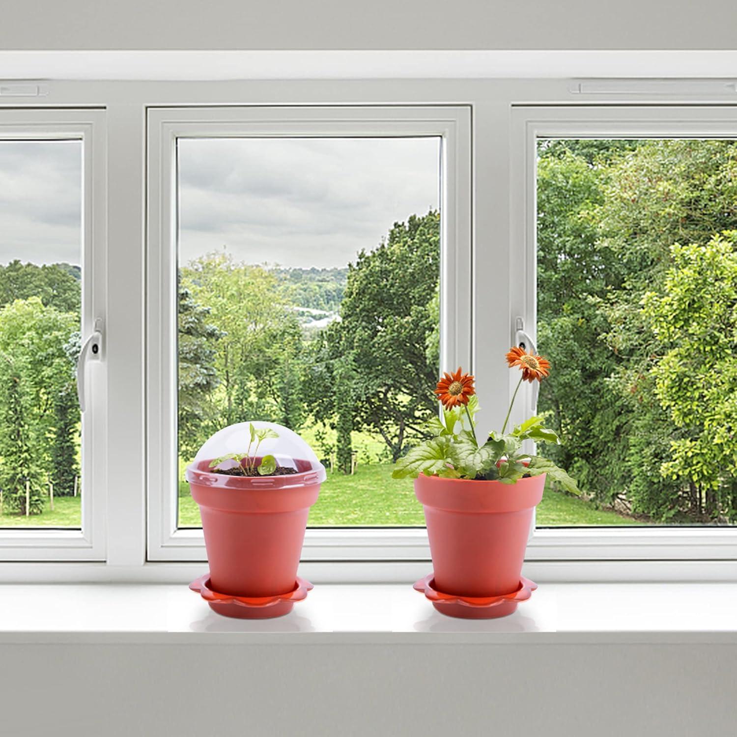 30 Macetas de Vivero PURPLE STAR 1N con Domo de Humedad