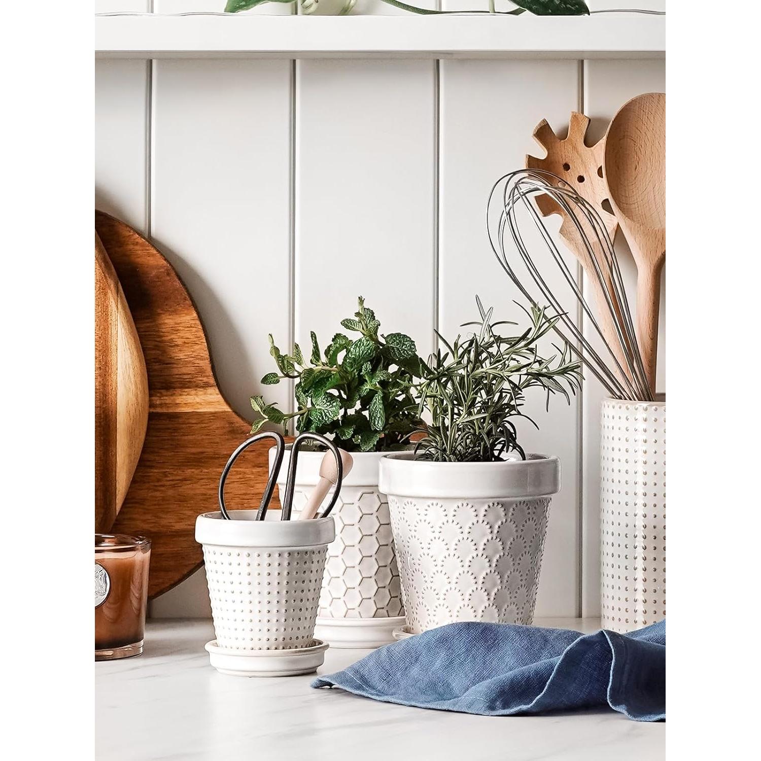 Macetas Cerámicas para Suculentas LE TAUCI - Set de 4, 7.6 cm