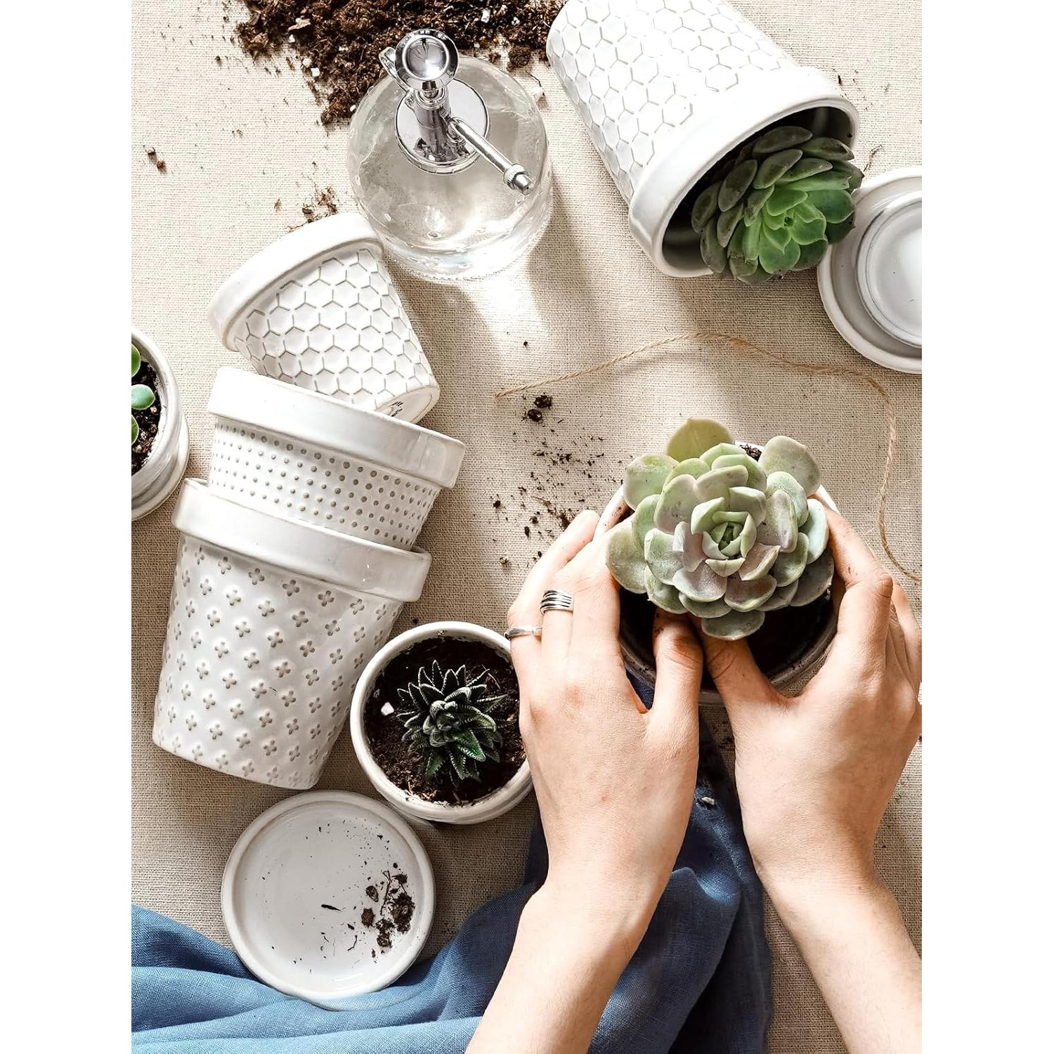 Macetas Cerámicas para Suculentas LE TAUCI - Set de 4, 7.6 cm