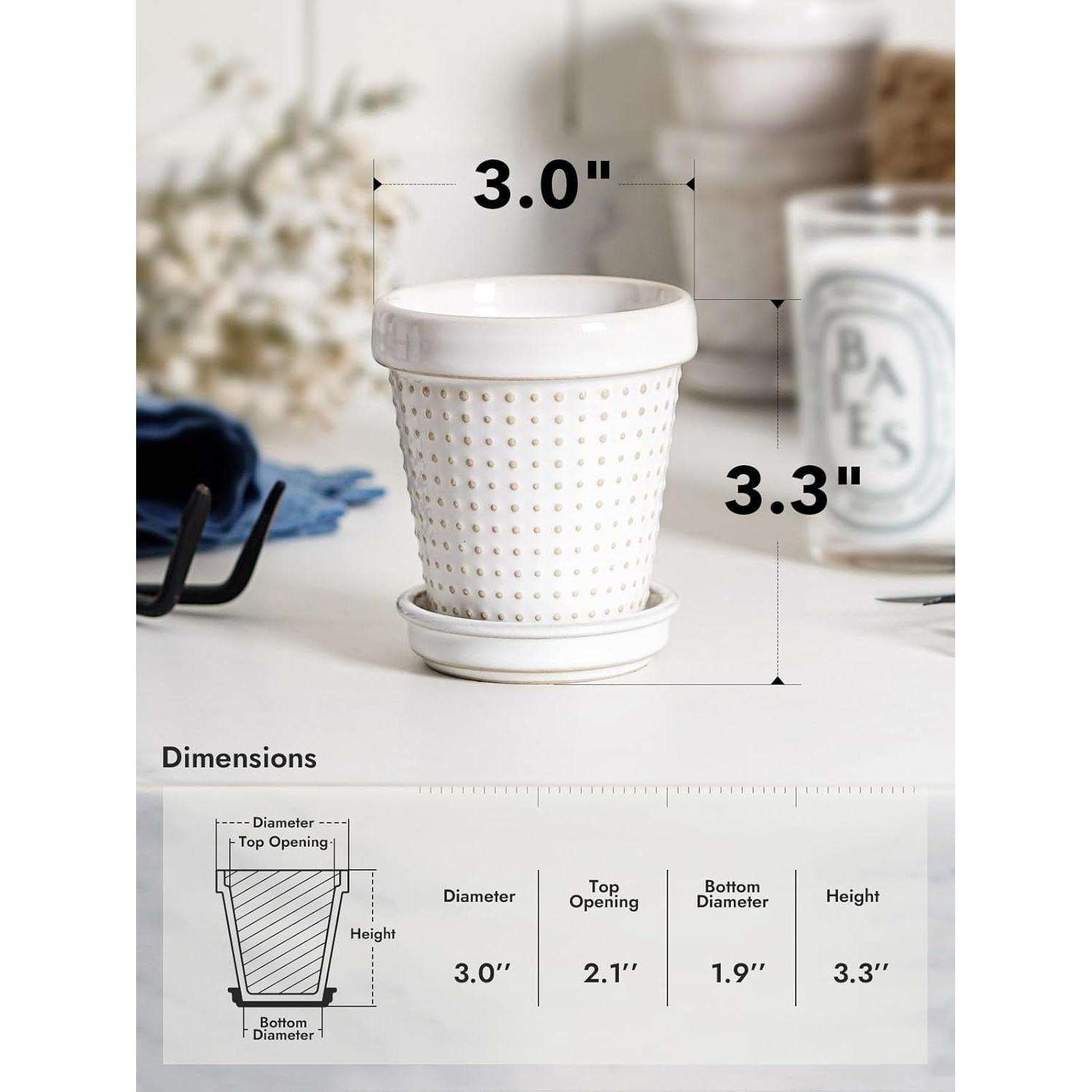 Macetas Cerámicas para Suculentas LE TAUCI - Set de 4, 7.6 cm