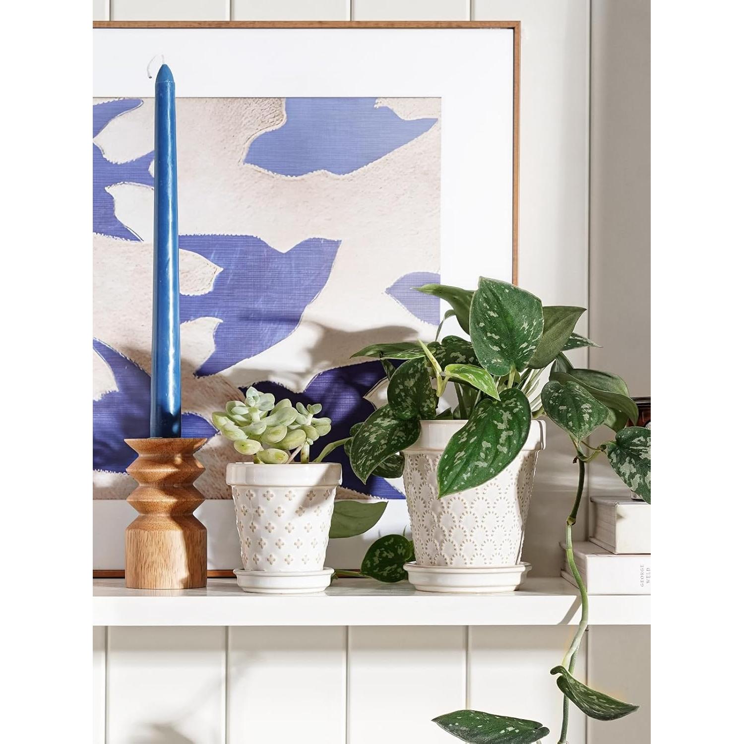 Macetas Cerámicas para Suculentas LE TAUCI - Set de 4, 7.6 cm