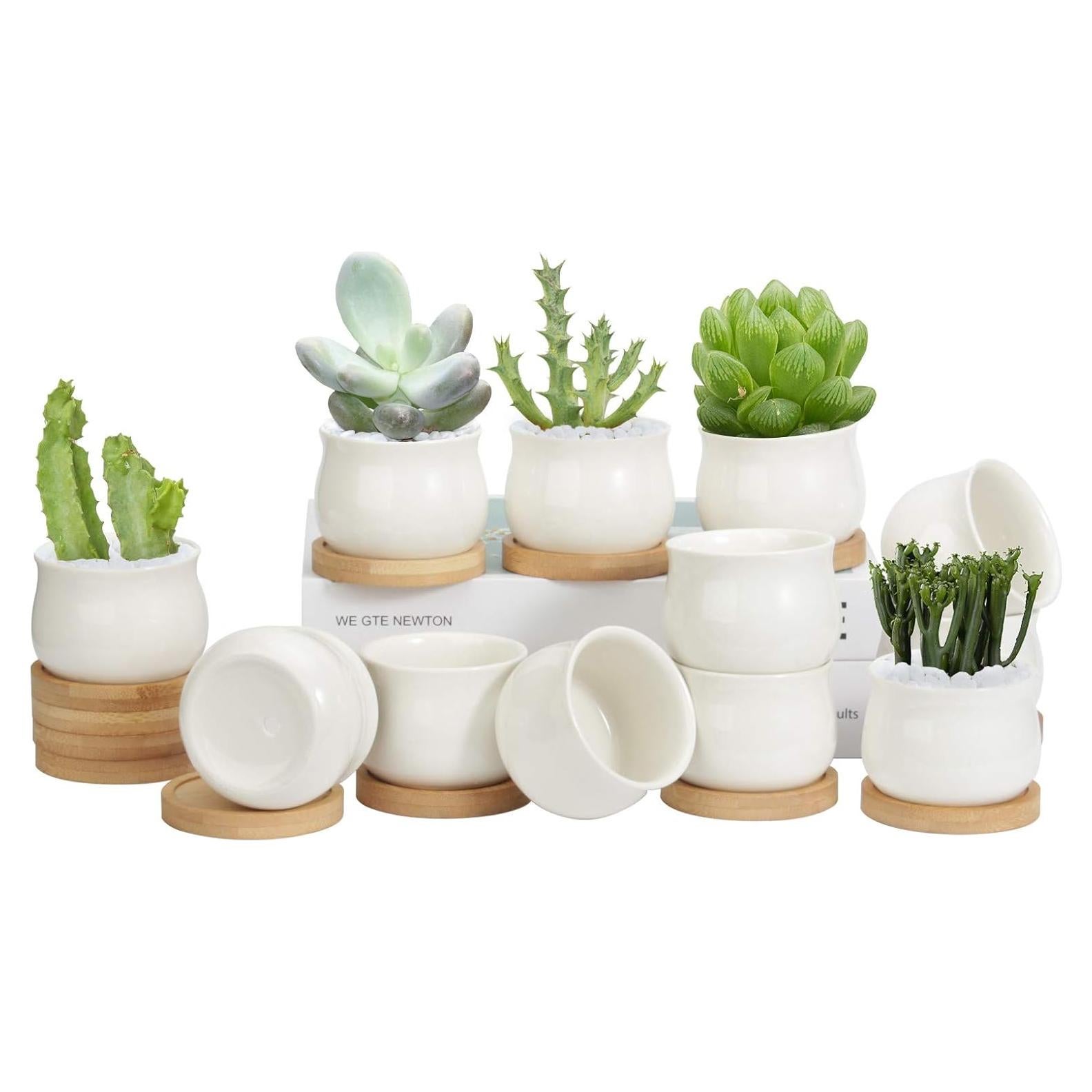 ZOUTOG 12 Macetas Mini de Cerámica 6.6 cm con Drenaje