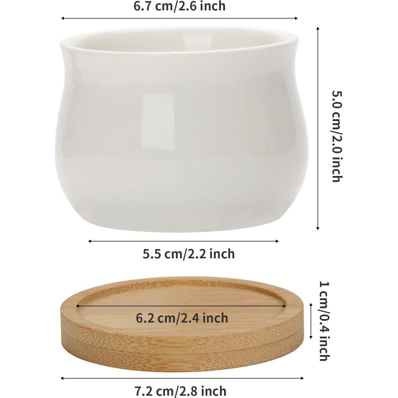 ZOUTOG 12 Macetas Mini de Cerámica 6.6 cm con Drenaje