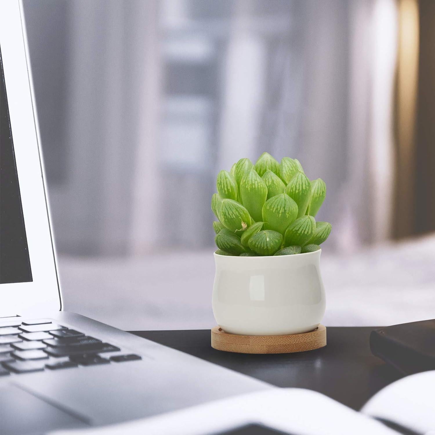 ZOUTOG 12 Macetas Mini de Cerámica 6.6 cm con Drenaje