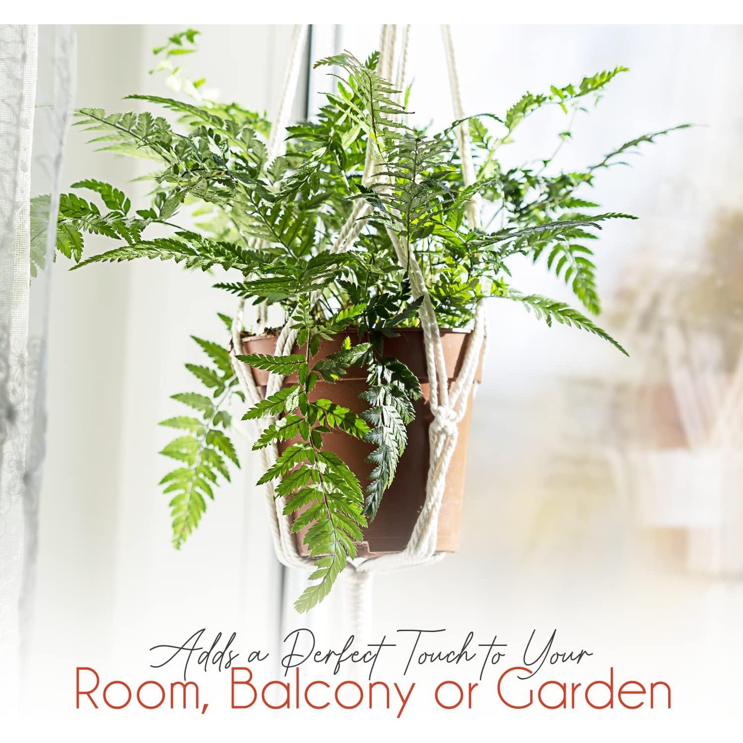 Colgadores de plantas de macramé Feedee, 6 unidades, 5.4 kg