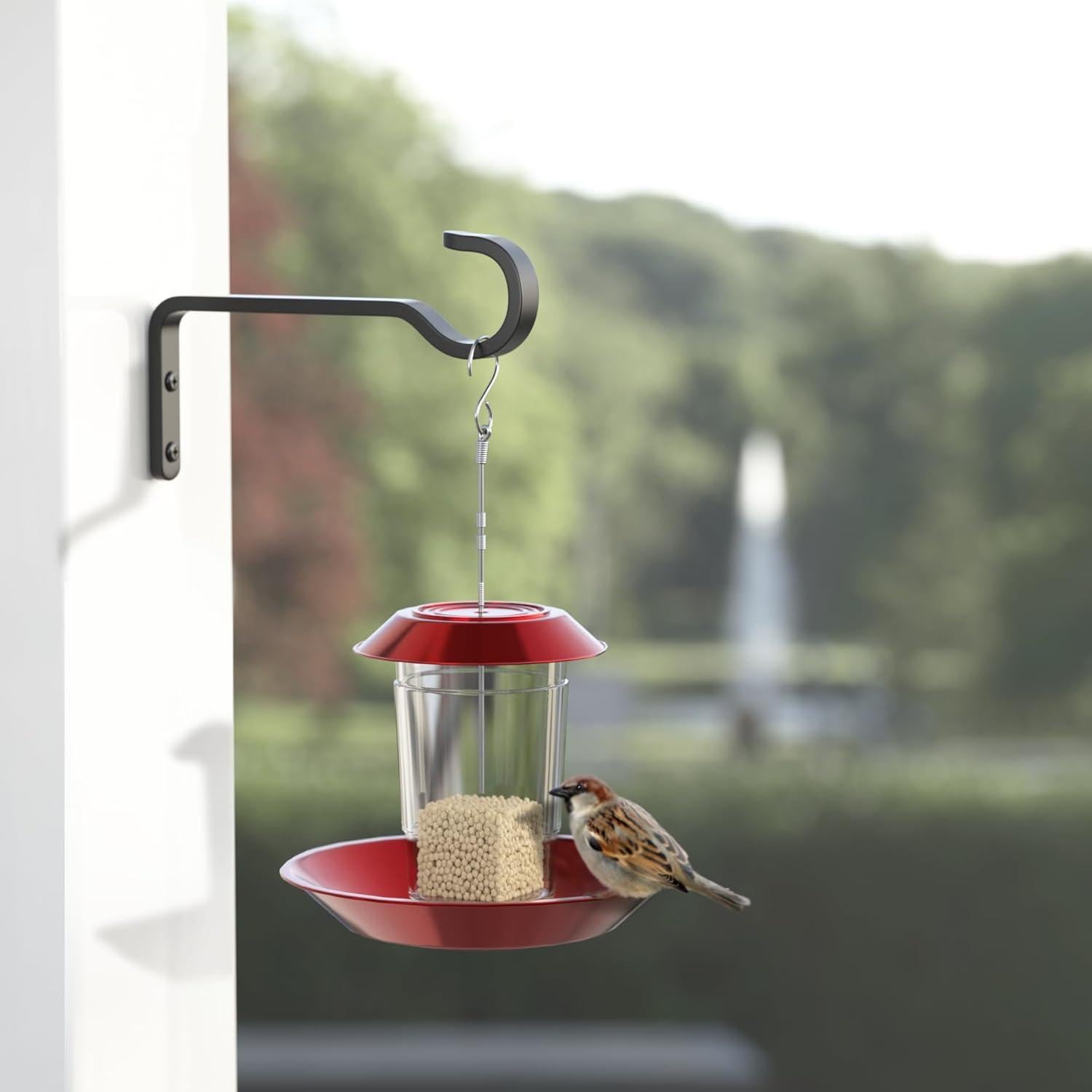 Soportes de Plantas Colgantes Saffruff 15.2 cm Hierro Negro 20 kg