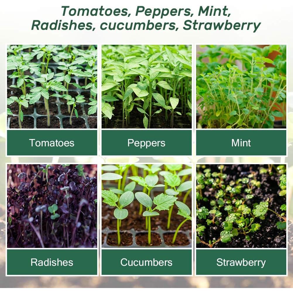 Kit de Inicio de Semillas Bonviee 5 Bandejas con Tapa Ajustable