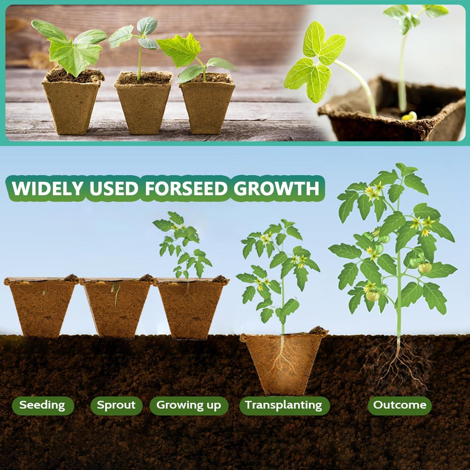 Bandeja de Inicio de Semillas Doubleggs 120 Celdas Biodegradables