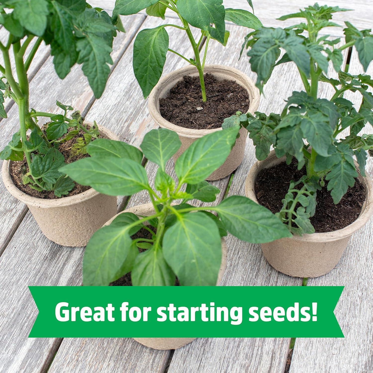 Bloque Comprimido de Coco Orgánico Back to the Roots 12L