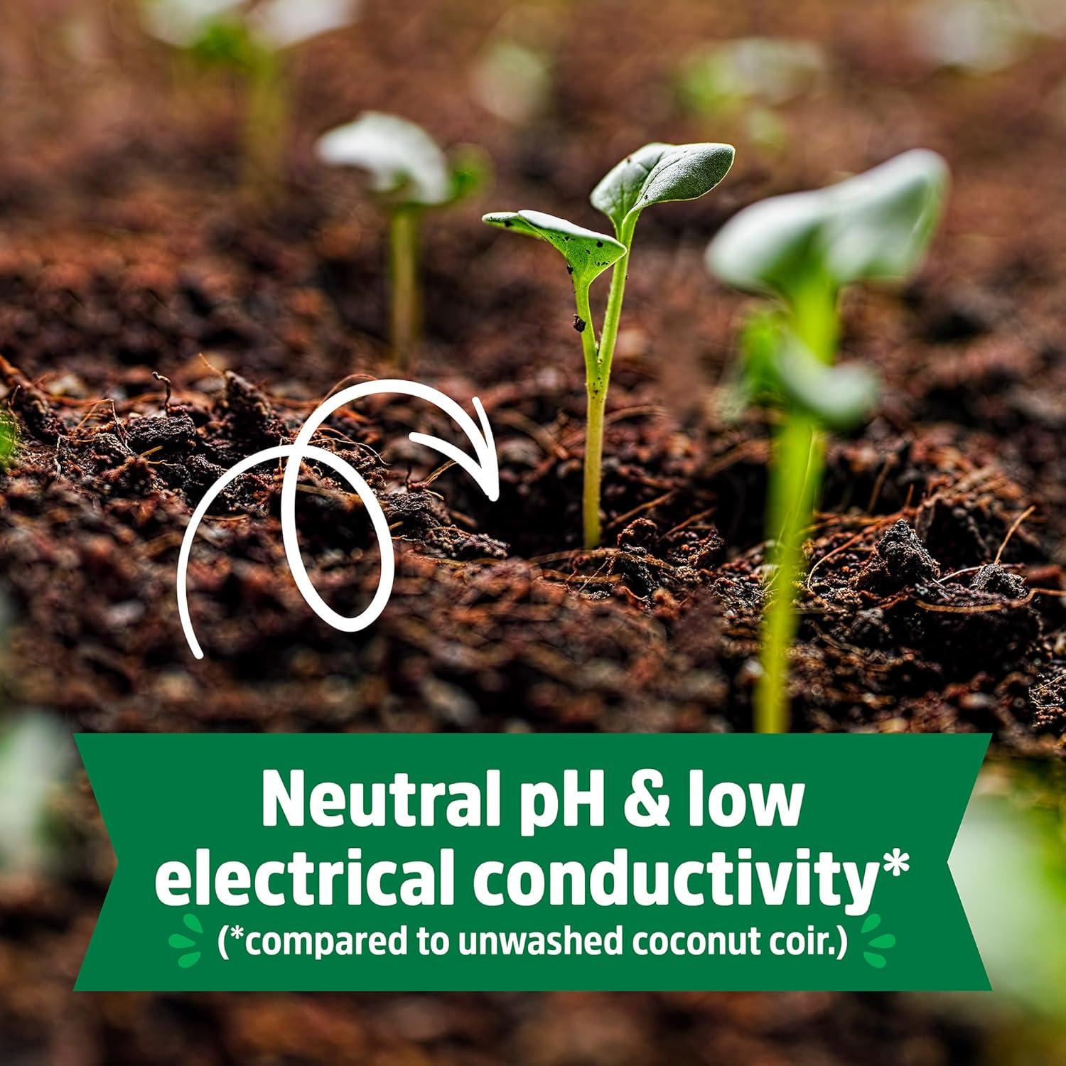 Bloque Comprimido de Coco Orgánico Back to the Roots 12L