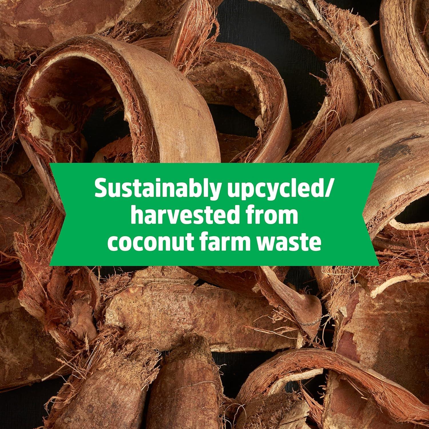 Bloque Comprimido de Coco Orgánico Back to the Roots 12L