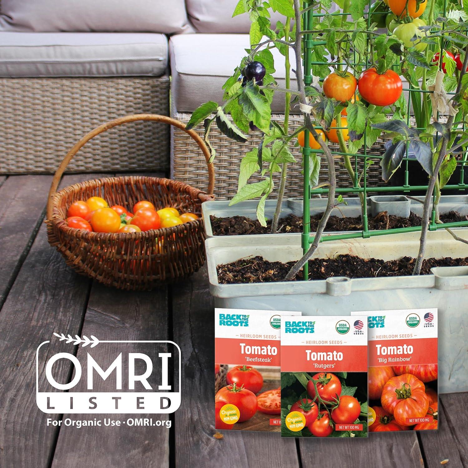 Bloque Comprimido de Coco Orgánico Back to the Roots 12L