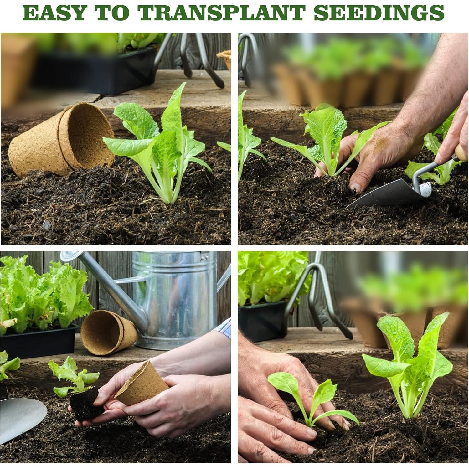 40 Macetas de Turba Biodegradables INCIKITI 8 cm para Plántulas