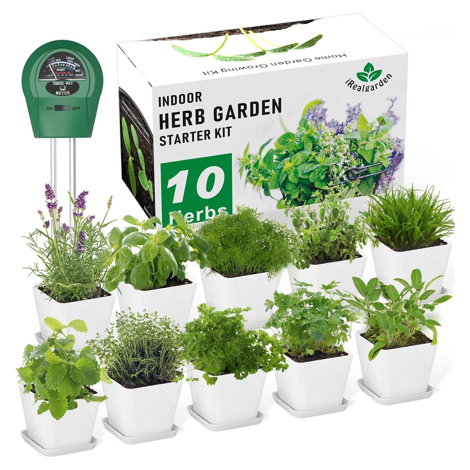 Kit de Jardín de Hierbas X M - 10 Variedades para Interior