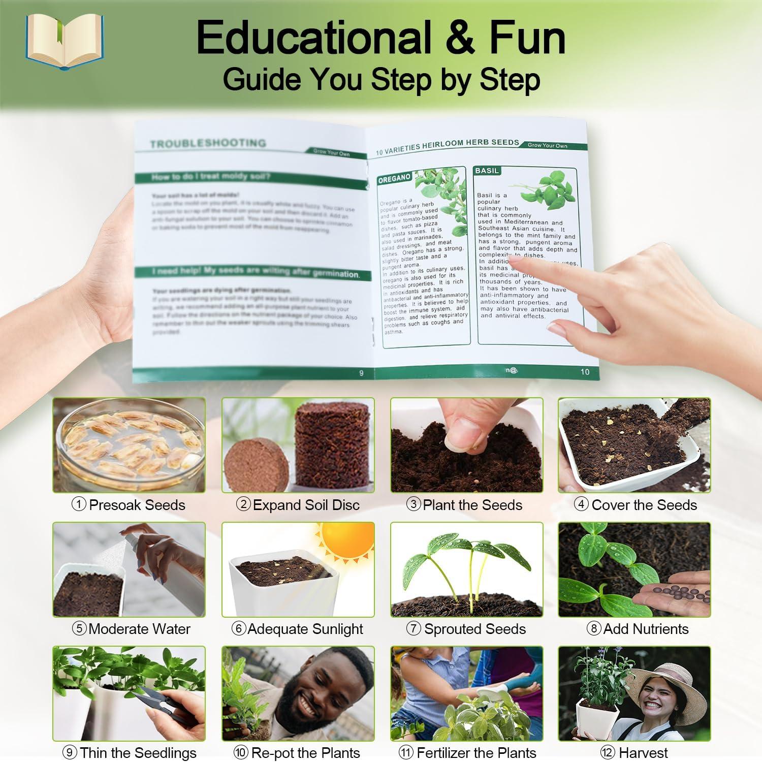 Kit de Jardín de Hierbas X M - 10 Variedades para Interior