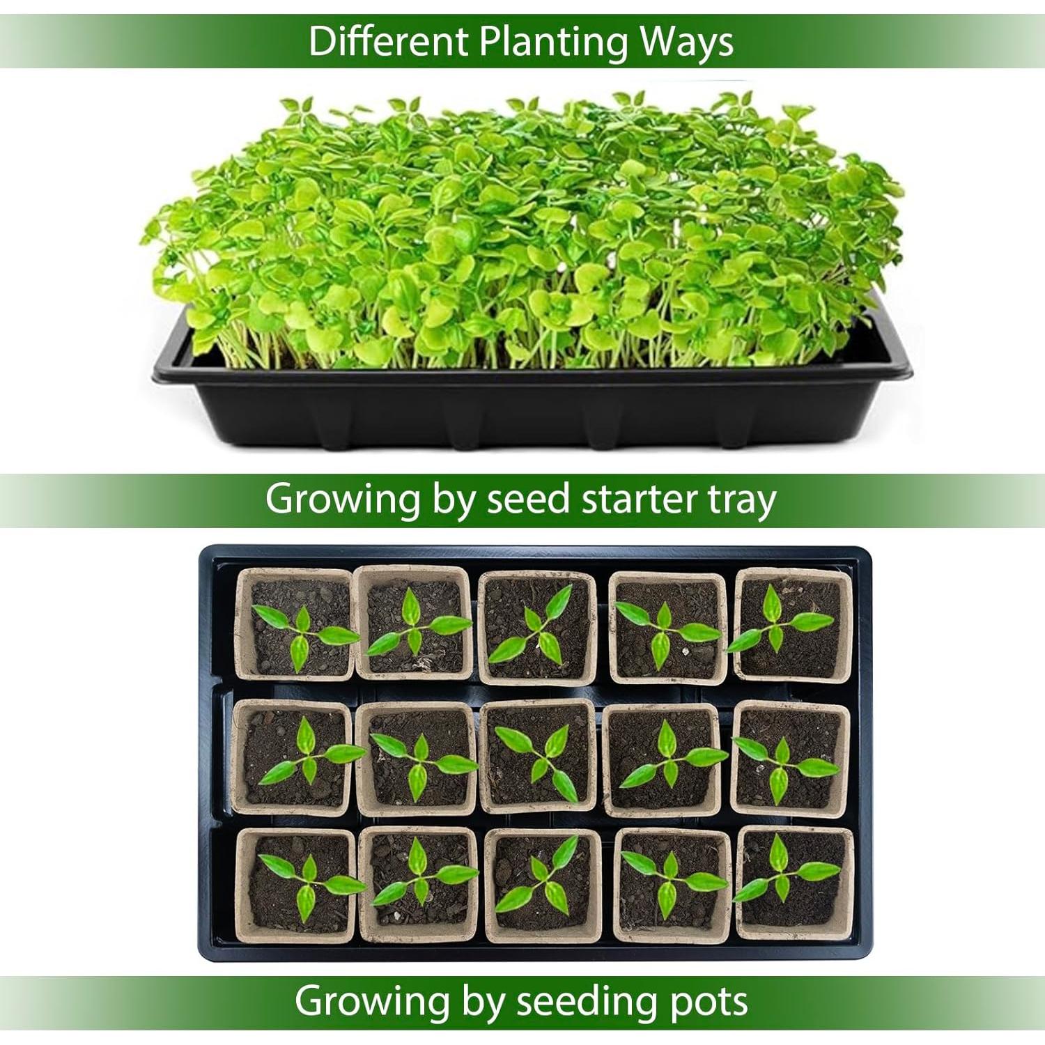 JOPY Kit de Bandejas para Iniciar Semillas 4 Piezas 120 Macetas