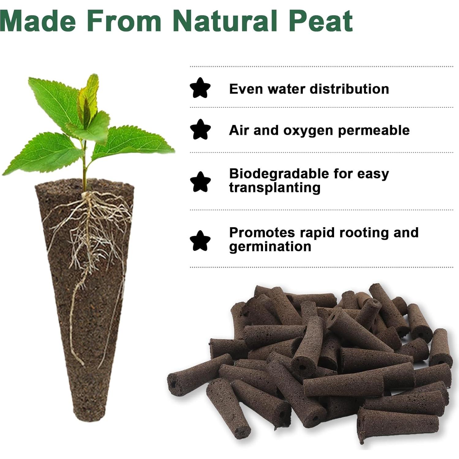 Kit de Cápsulas de Semillas de Hierbas Gourmet HiHOYA 14 Unidades