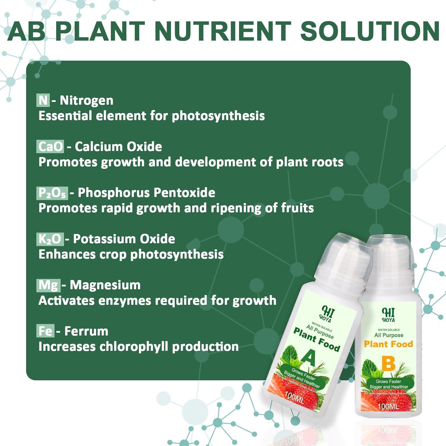 Kit de Cápsulas de Semillas de Hierbas Gourmet HiHOYA 14 Unidades