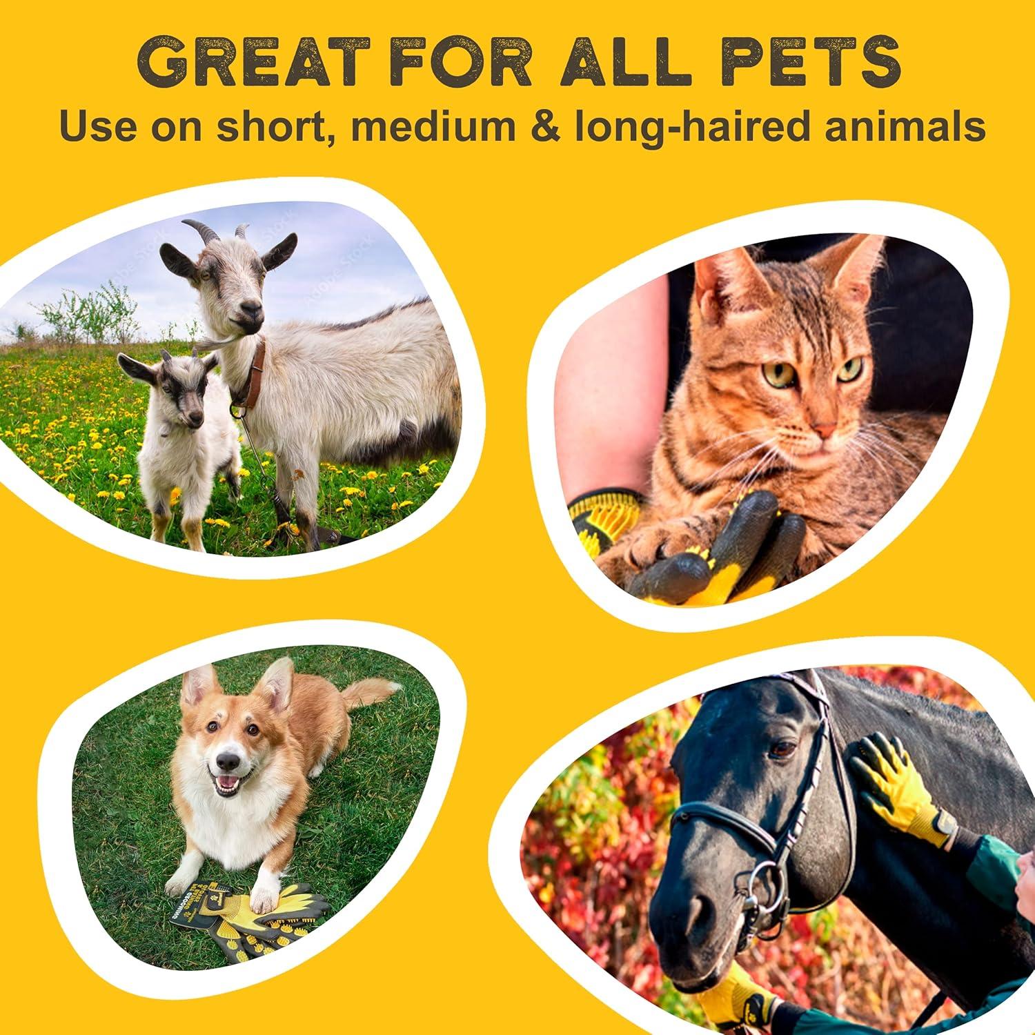 Guantes de Aseo Pawradise para Mascotas - Eliminador de Pelo