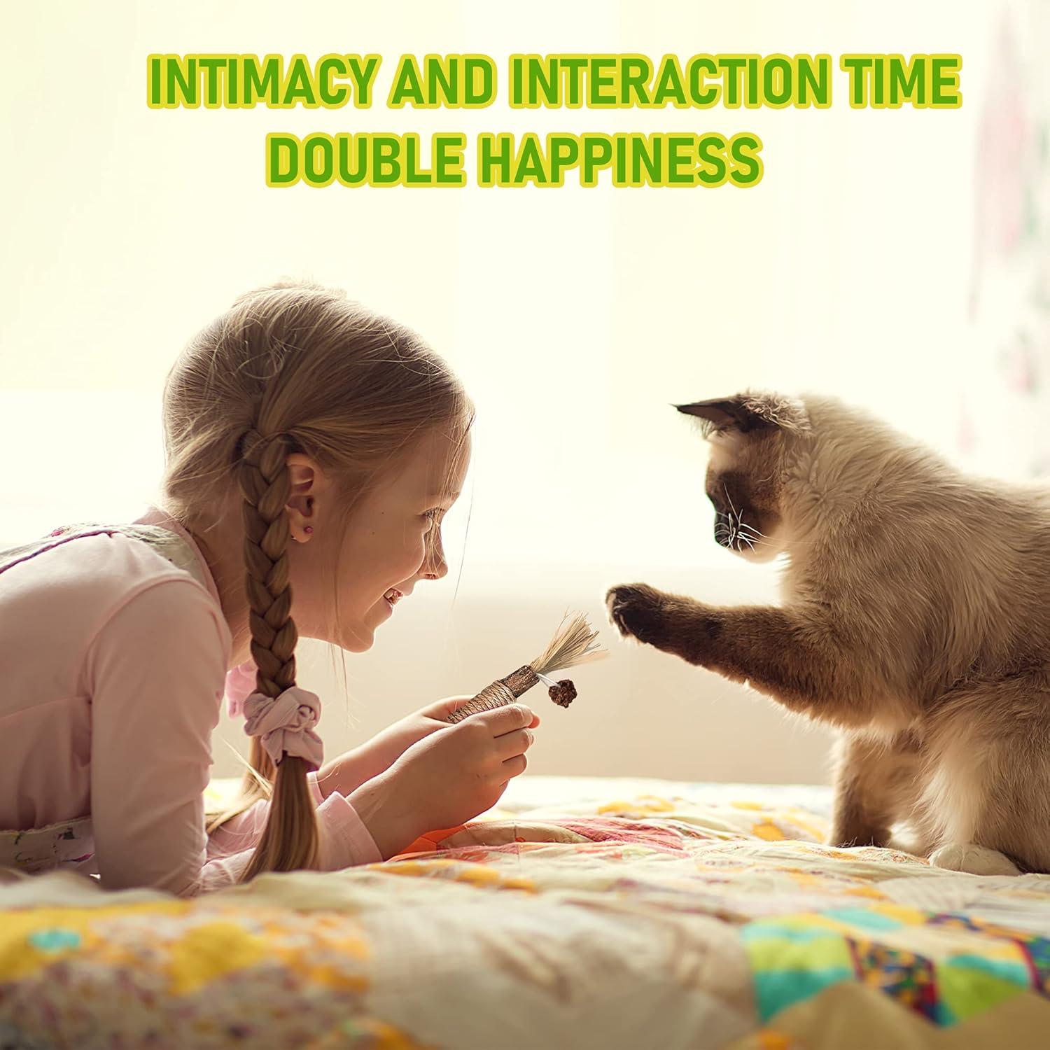 Paquete de 3 Palos Masticables de Plata para Gatos GBSYU