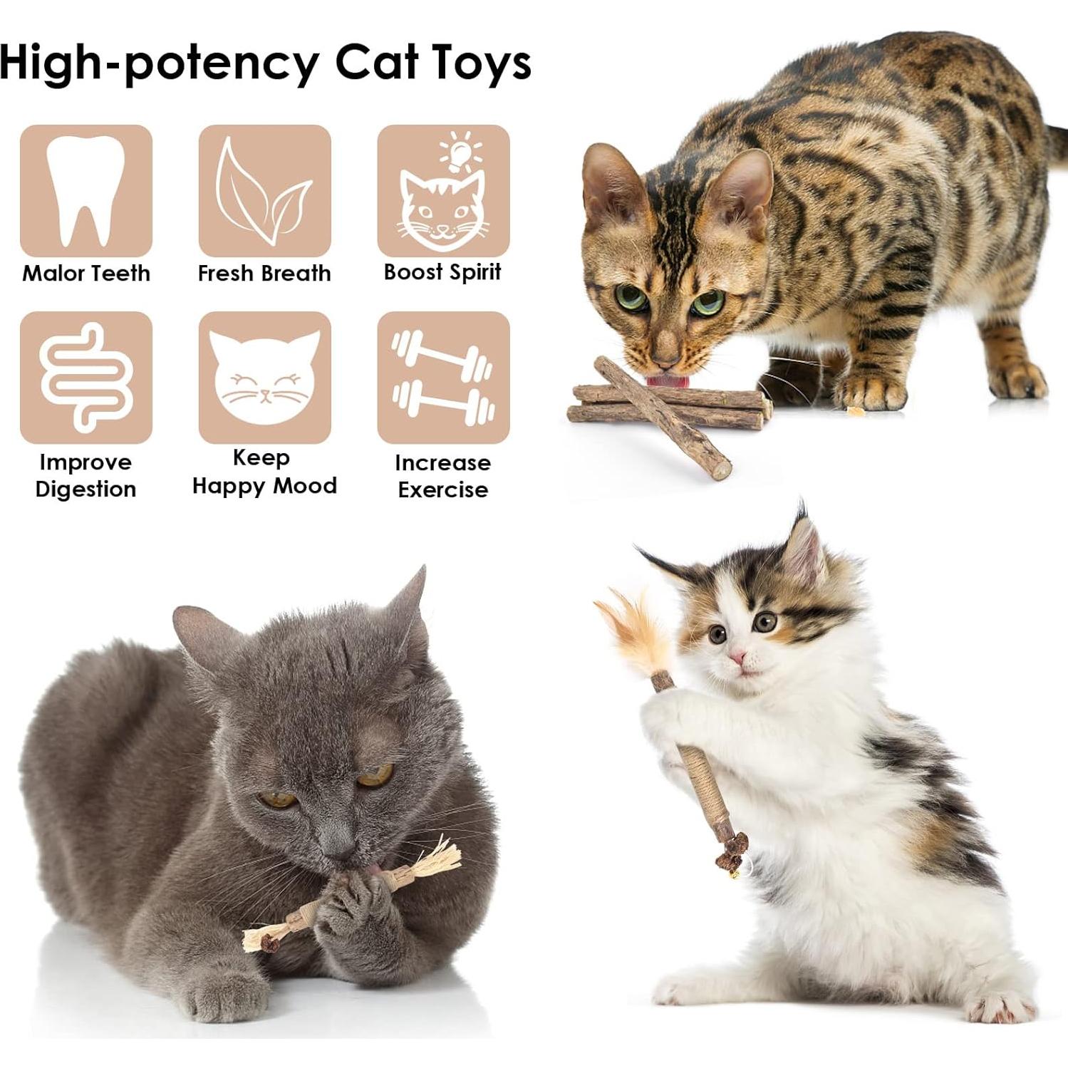 Bissap 10 PCS Palos de Silvervine para Gatos - Juguetes Dentales Naturales