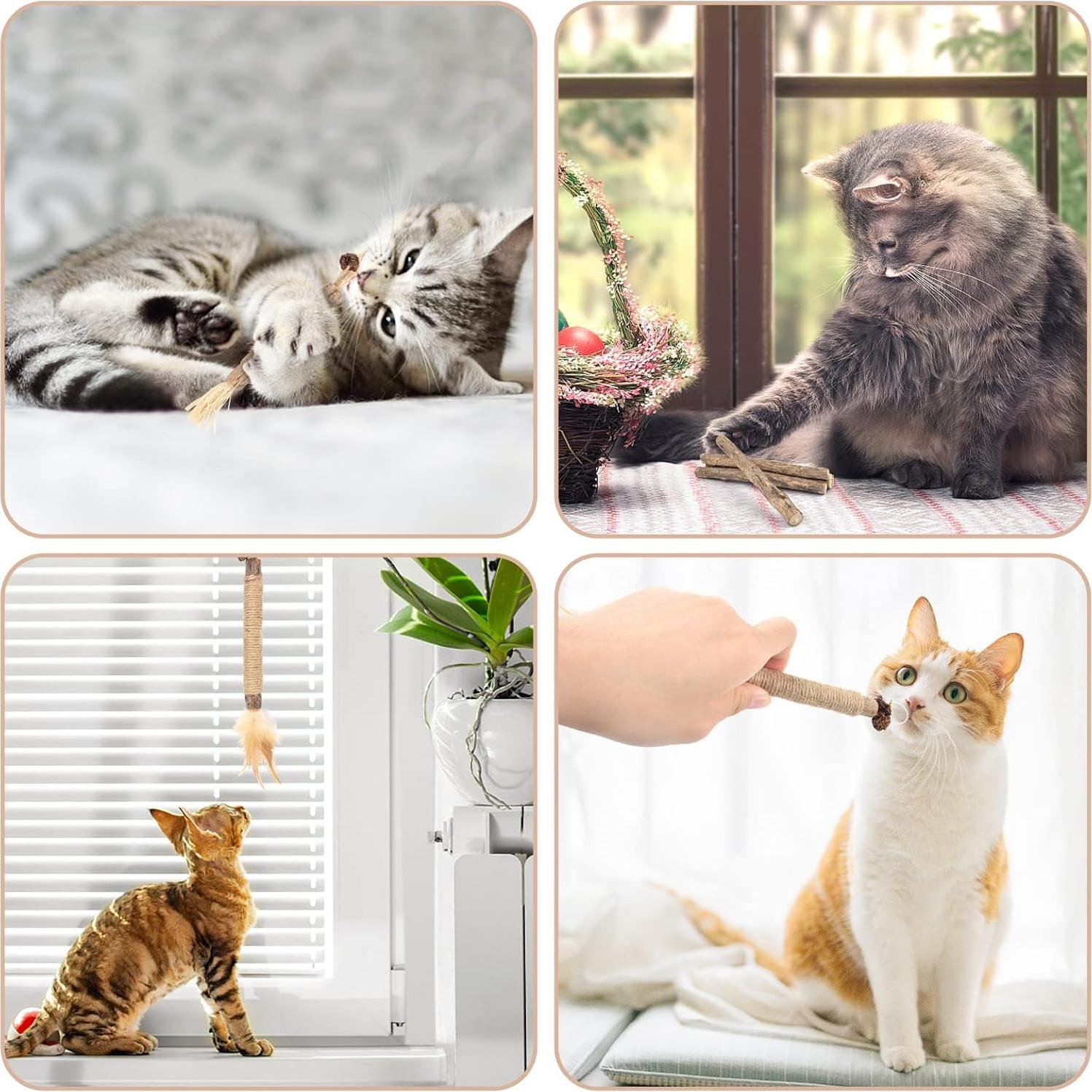 Bissap 10 PCS Palos de Silvervine para Gatos - Juguetes Dentales Naturales