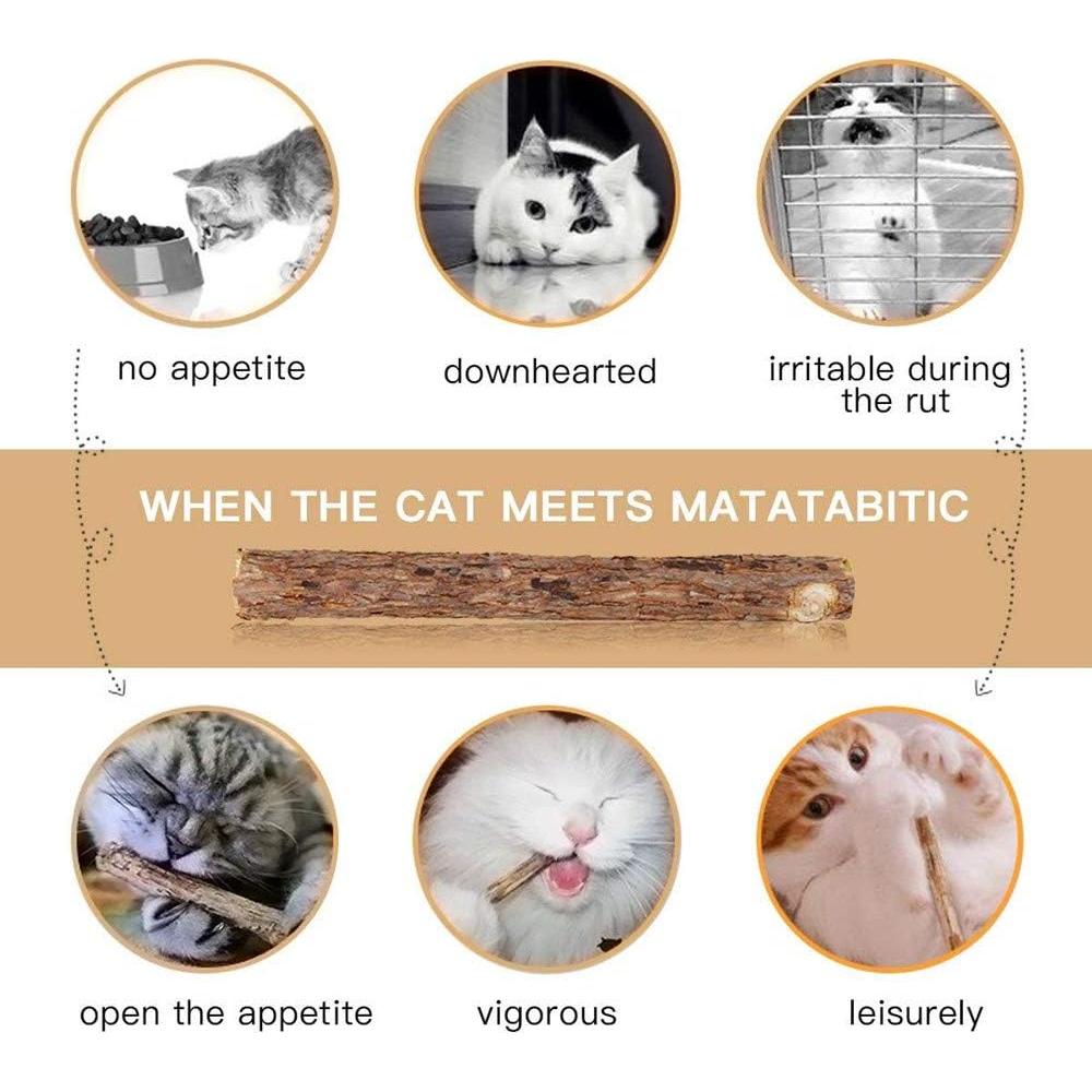 Palos de Silvervine para Gatos WoLover - 12 Unidades Naturales