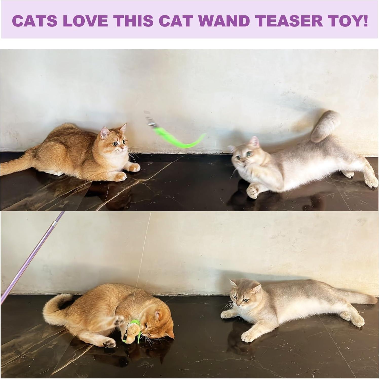 Juguete Interactivo para Gatos ZeyZoo 11PCS Varitas y Accesorios