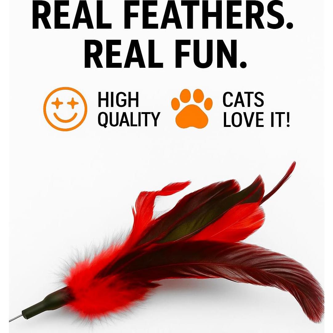 Set de Juguetes Interactivos para Gatos Paws Power - 5 Varitas con Plumas