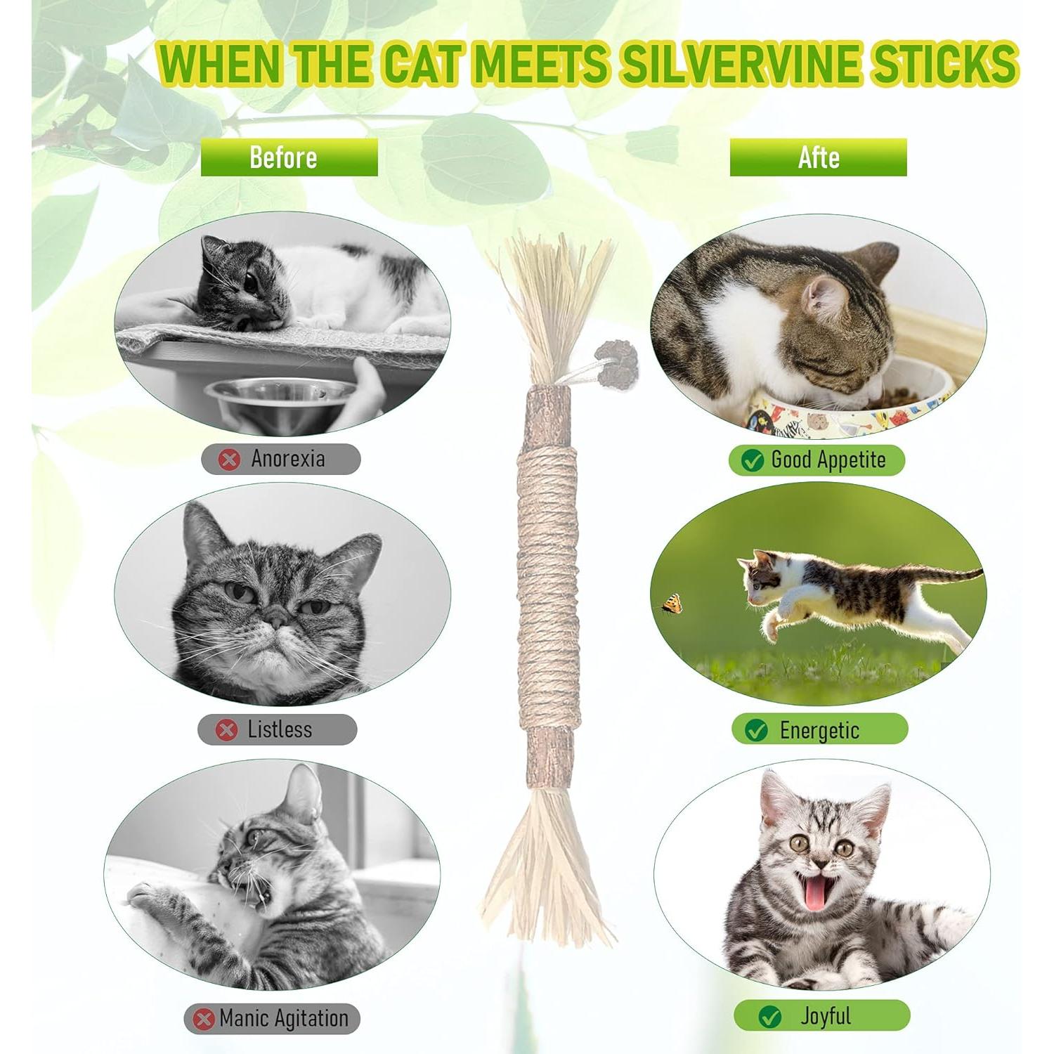 Juguetes de Masticar para Gatos BAWAN - Silvervine 3PCS