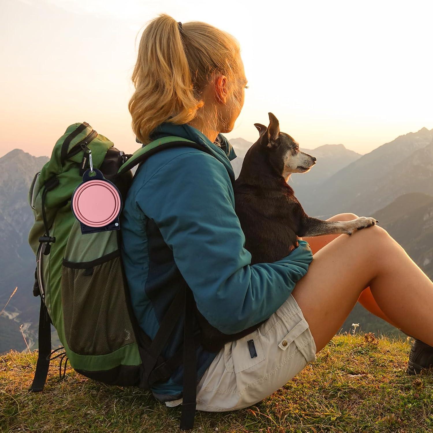 Cuencos Plegables para Perros SLSON Doble Rosa Claro 0.39L