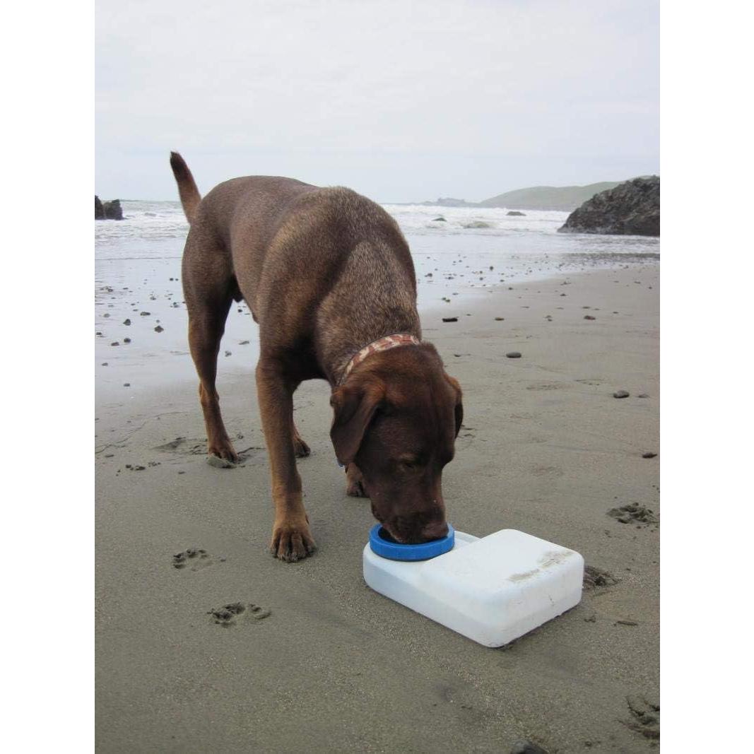 Tazón de Agua para Perros Lixit 2.84L Viaje Antiderrame