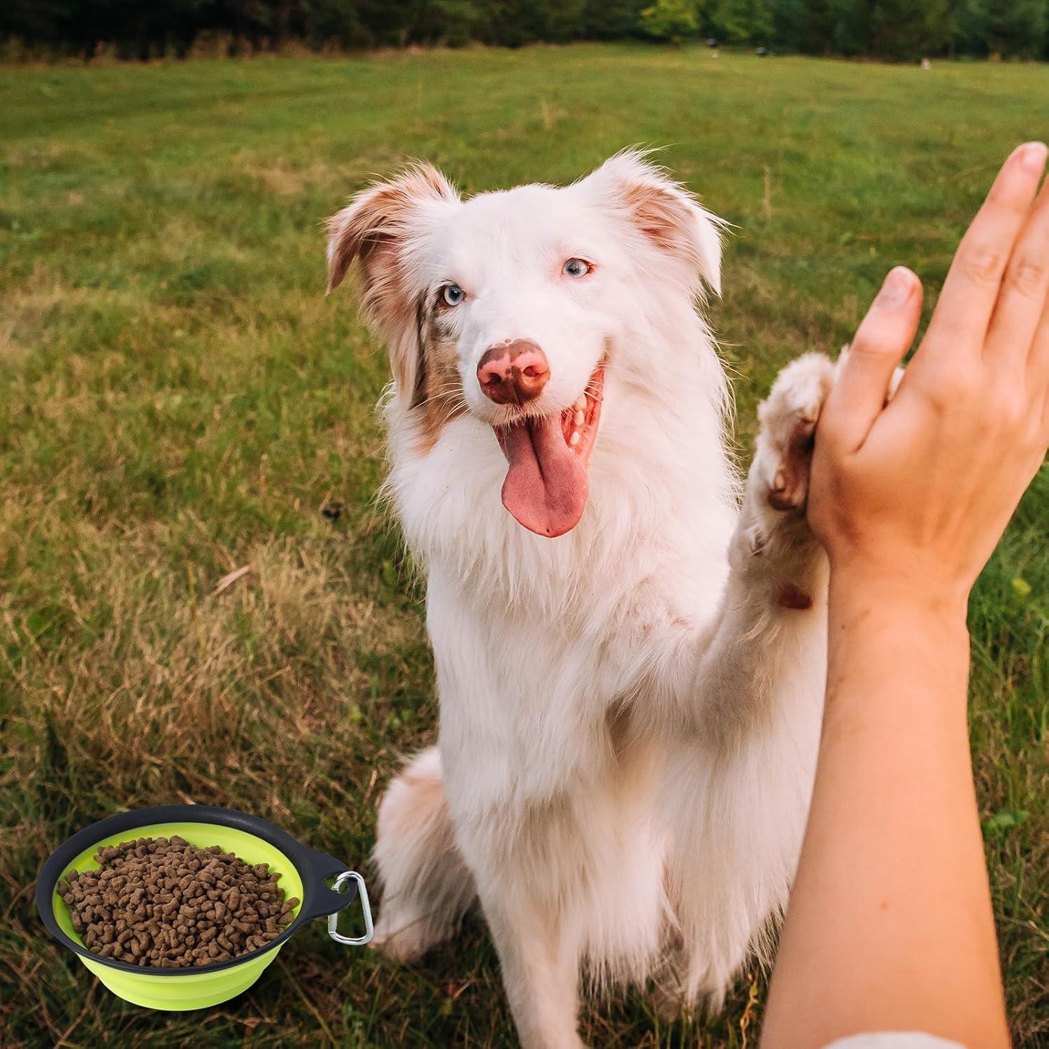 Cuencos Plegables para Perros SLSON 2Pack 380ml Verde y Azul
