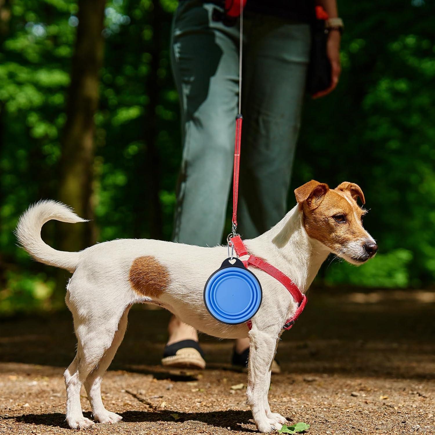 Cuencos Plegables para Perros SLSON 2Pack 380ml Verde y Azul