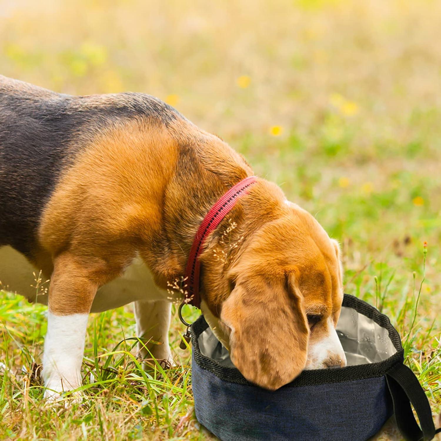 Cuencos Plegables para Perros Meanplan - 2 Piezas 1.18L Azul