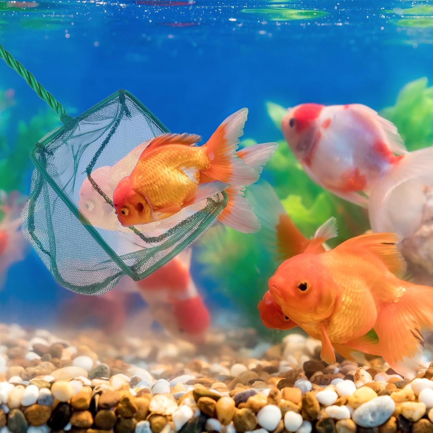 Paquete de 4 Redes de Acuario PHITUODA Nylon Verde 7.62-15.24cm